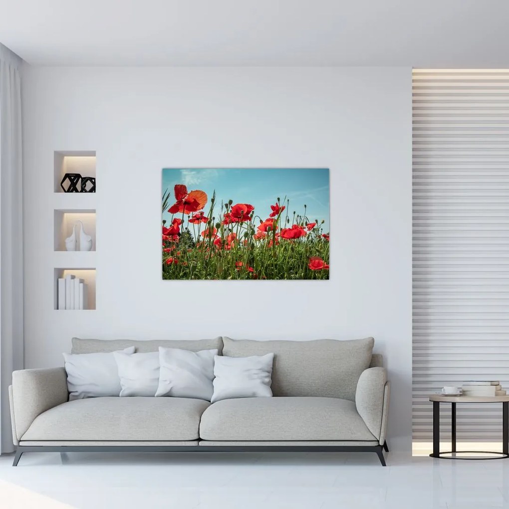 Tablou - Pe câmpul cu maci (90x60 cm)