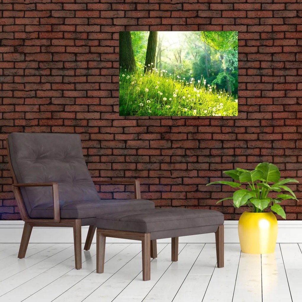 Tablou pe sticlă - Pajiște magică plină de păpădii (70x50 cm)