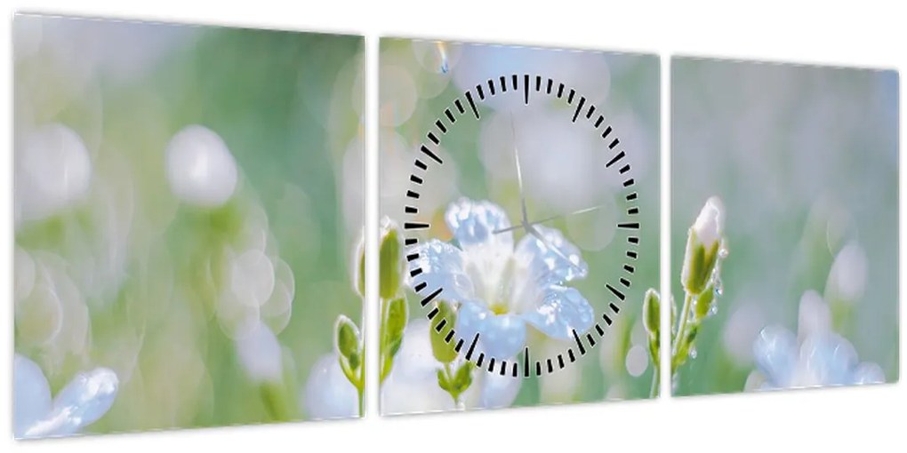 Tablou - Flori delicate (cu ceas) (90x30 cm)
