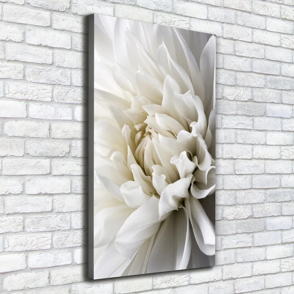 Print pe pânză Dahlia alb