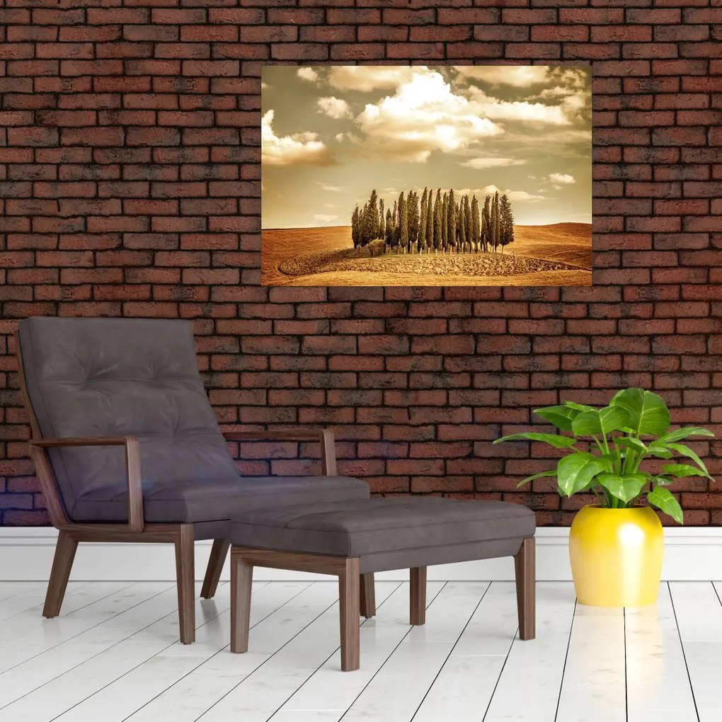 Tablou cu luncă (90x60 cm)