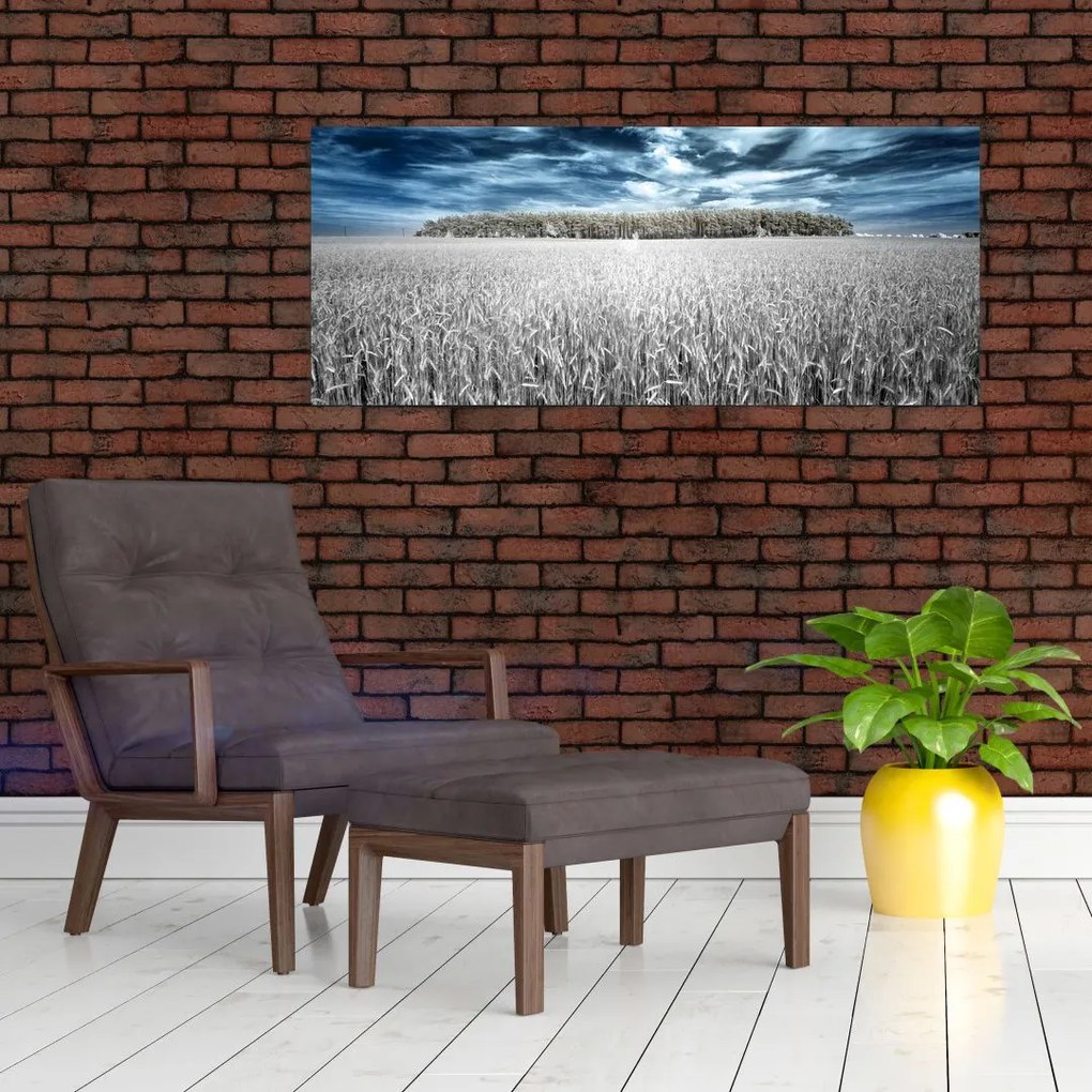 Tablou cu câmp (120x50 cm)