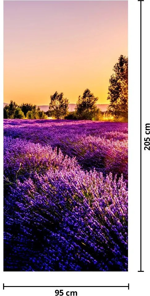 Fototapet pentru ușă - Câmp de lavandă (95x205cm)