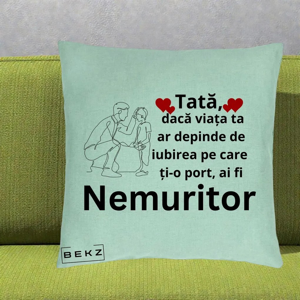 Cadou pentru Tata - Perna Personalizata Tata Nemuritor Baietel, 40x40 cm, Verde Menta, Husa Detasabila, Perna Inclusa, BEKZ®