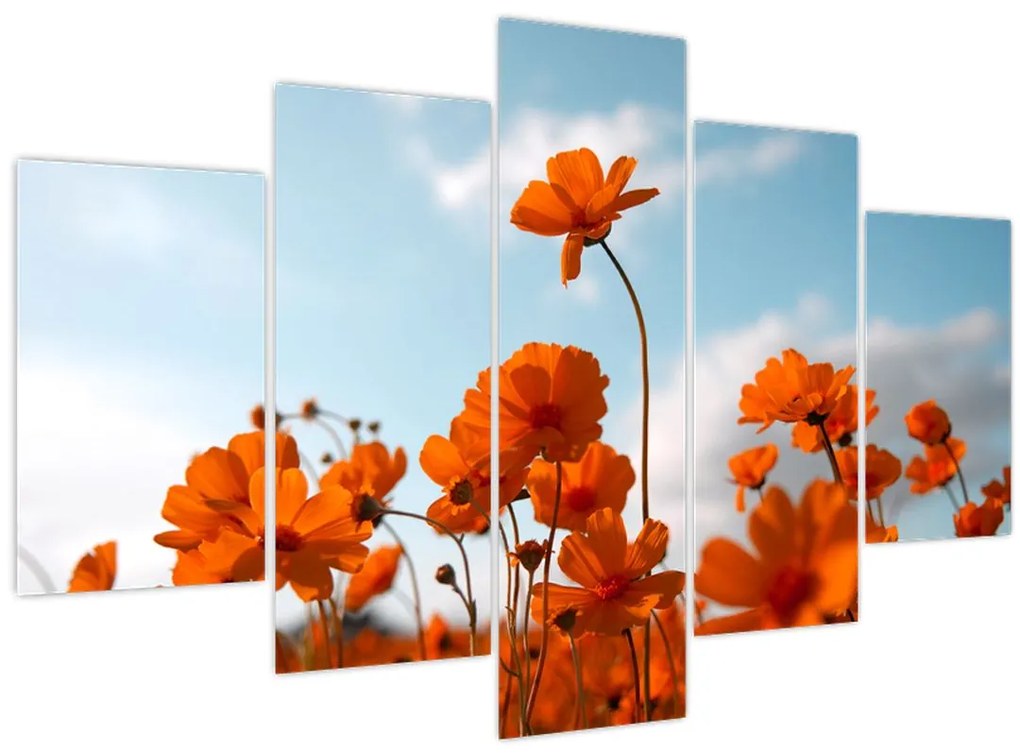 Tablou - Flori sălbatice (150x105 cm)