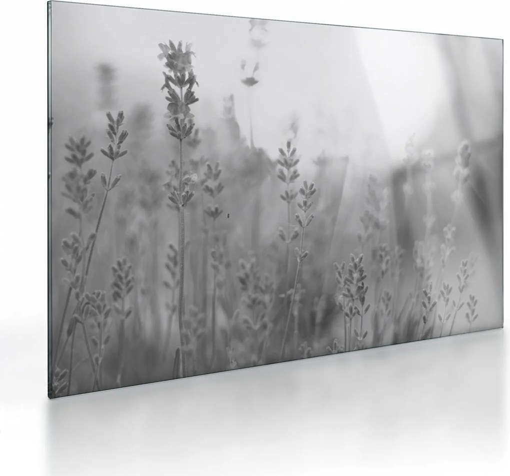 Tablou pe sticlă - Lavanda (70x50 cm)