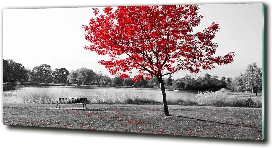 Imagine de sticlă Copac roșu