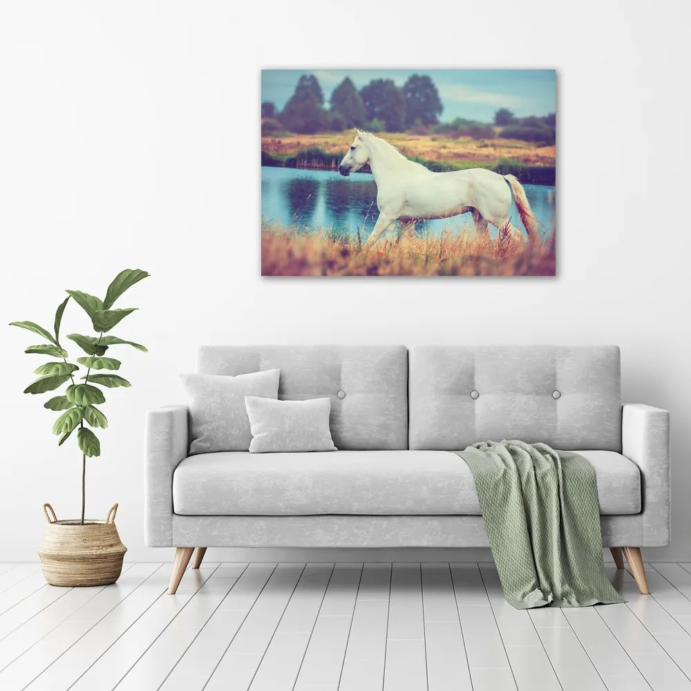 Imprimare tablou canvas White lake horse