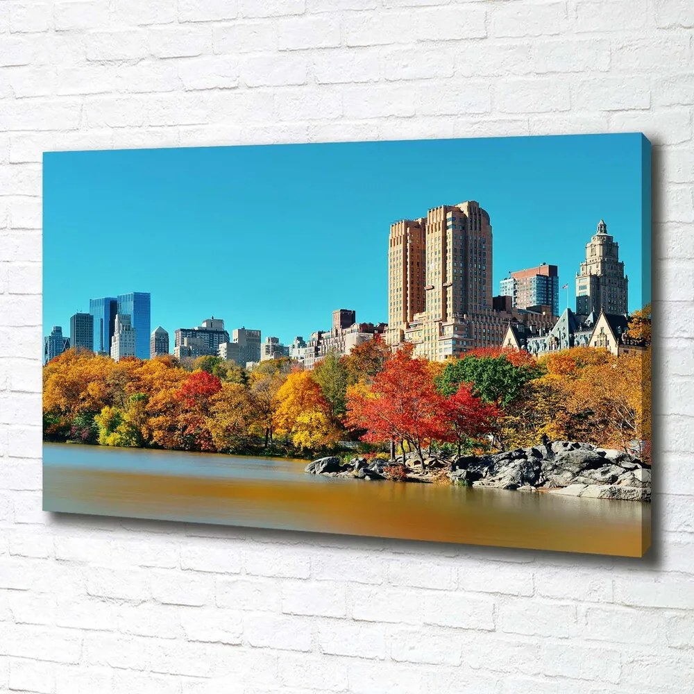 Tablou pe pânză canvas New york, în toamna