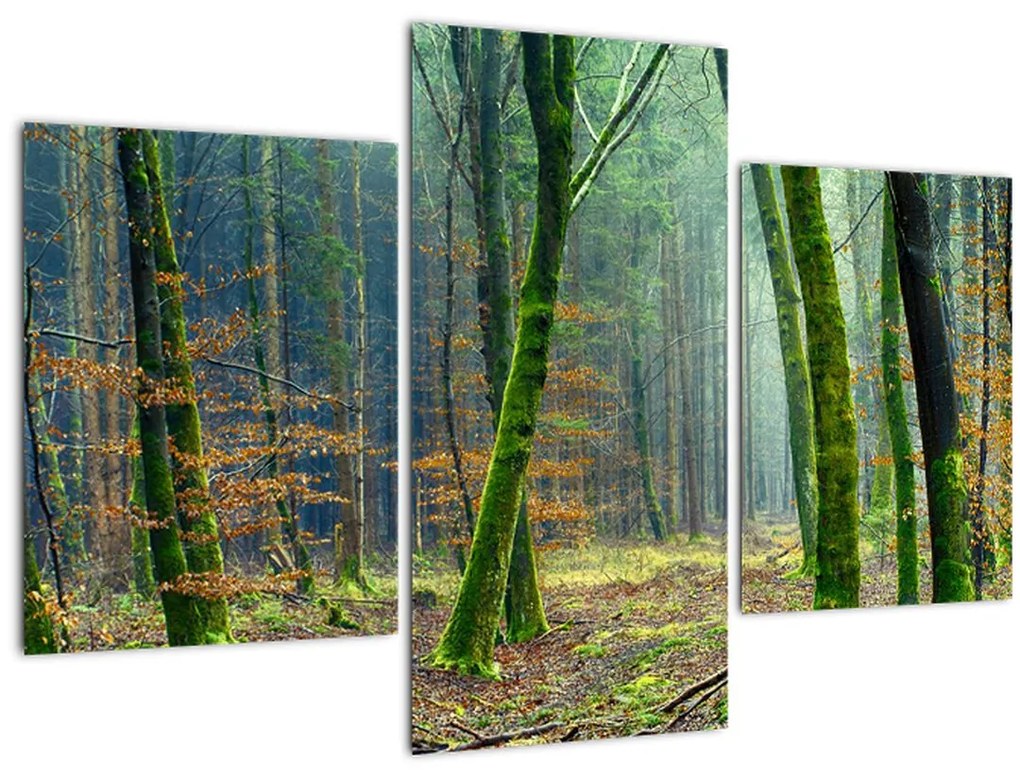 Tablou cu pădure (90x60 cm)