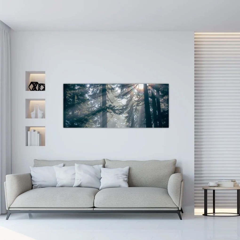 Tablou cu copaci și soarele translucind (120x50 cm)