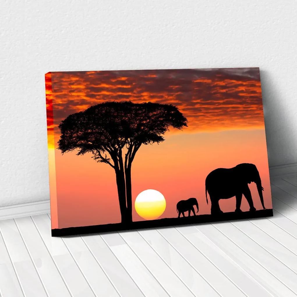 Tablou Canvas - African Sunset 60 x 95 cm