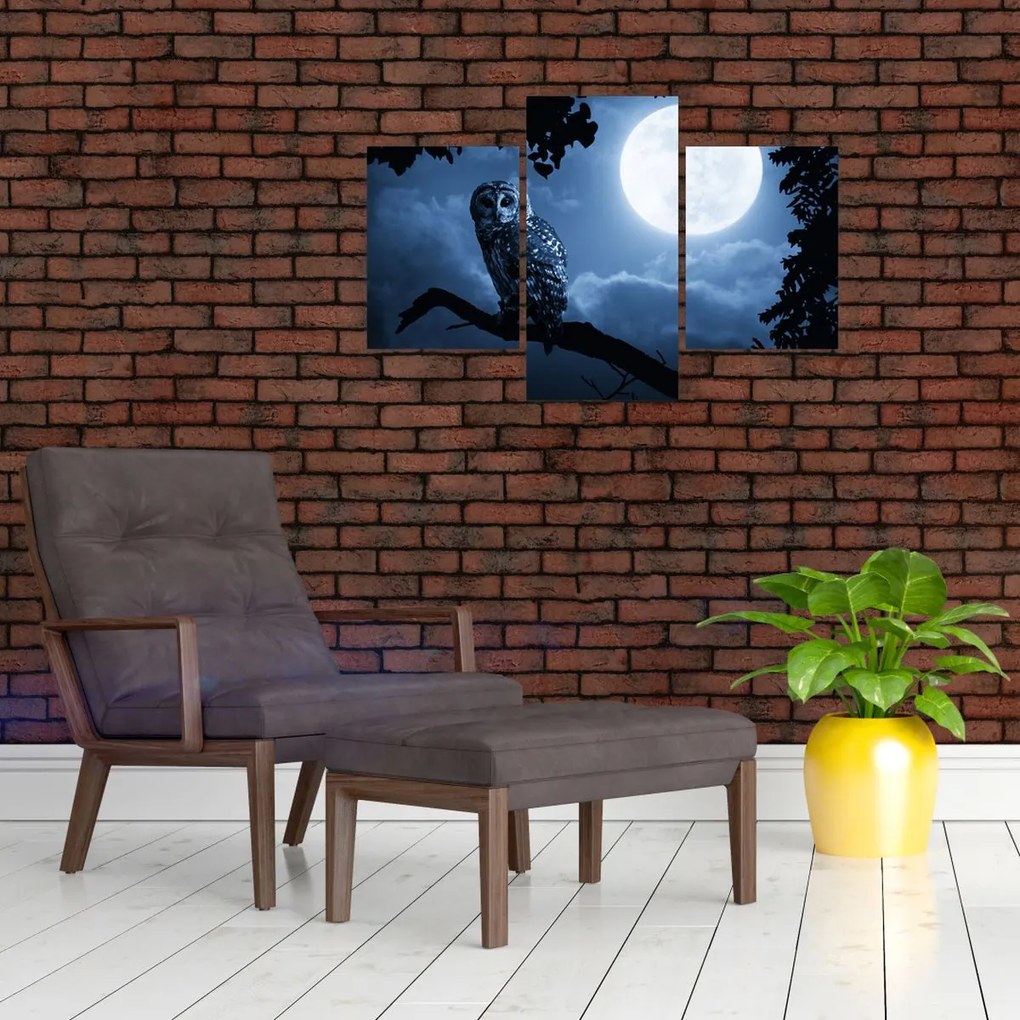 Tablou - Bufnița de noapte (90x60 cm)