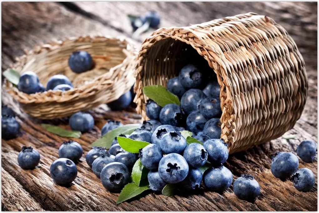 Tablou - Afine suculente (90x60 cm)