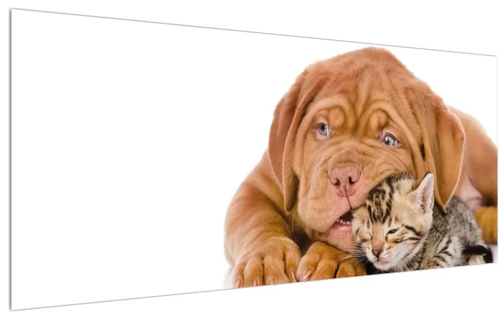 Tablou câinele cu pisicuța (120x50 cm), în 40 de alte dimensiuni noi