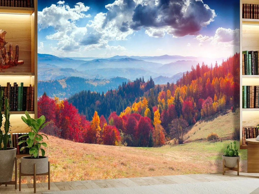 Fototapet - Pădurea toamna (147x102 cm)