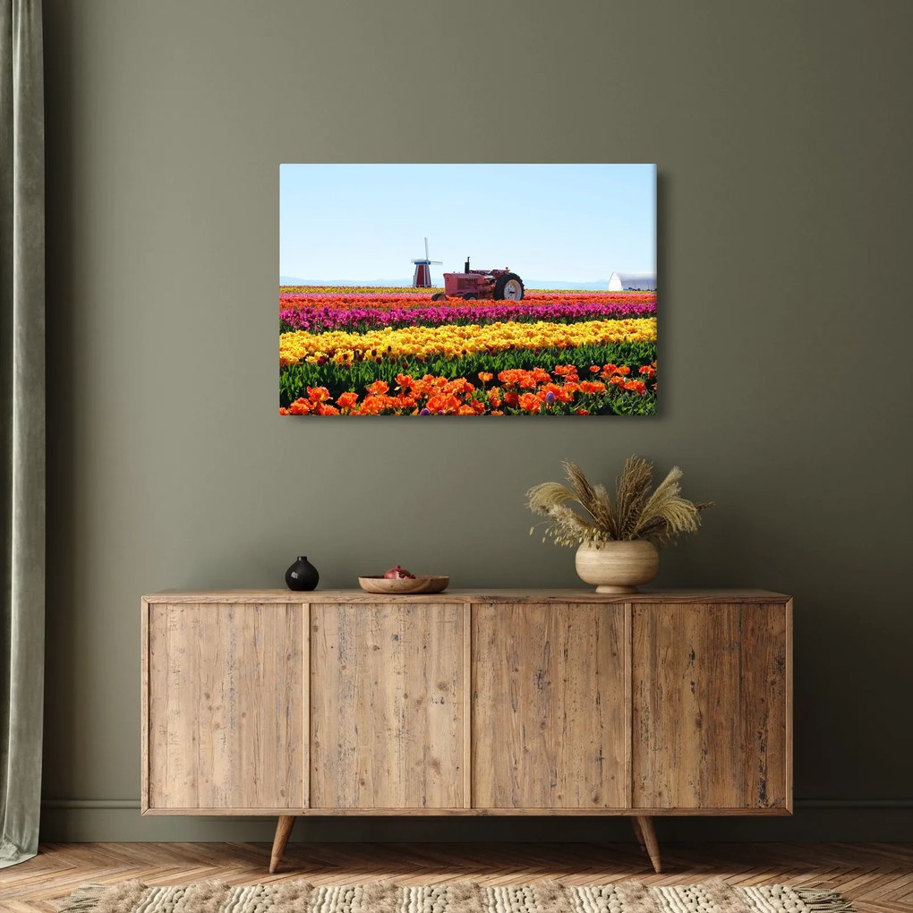 Tablou cu farma de lalele (90x60 cm)