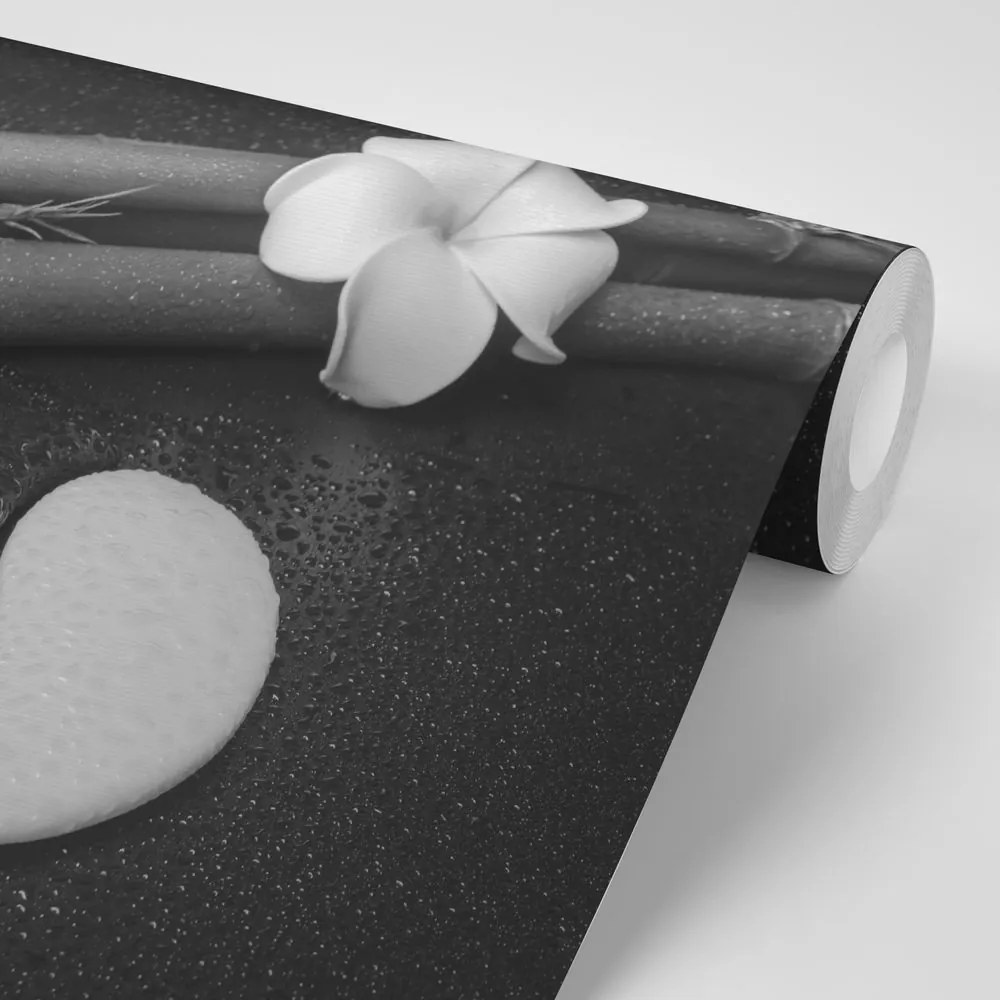 Fototapet natură moartă cu Yin și Yang în alb-negru