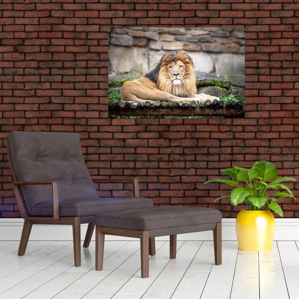 Tablou cu leu (90x60 cm)