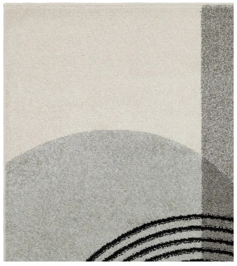 Covor gri 170x120 cm Muse - Asiatic Carpets