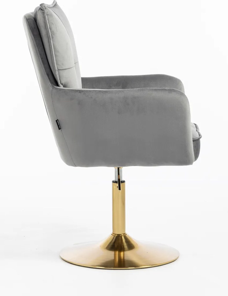 HR250N Scaun Catifea Grafit Bază Aurie