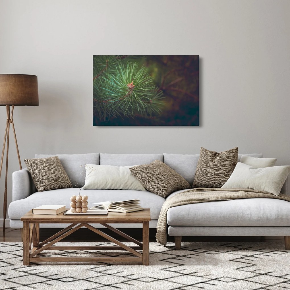 Tablou - Pin (90x60 cm)