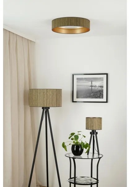 Brilagi - Lampă LED reglabilă VEGAS SHINE LED/24W/230V maro/auriu + telecomandă