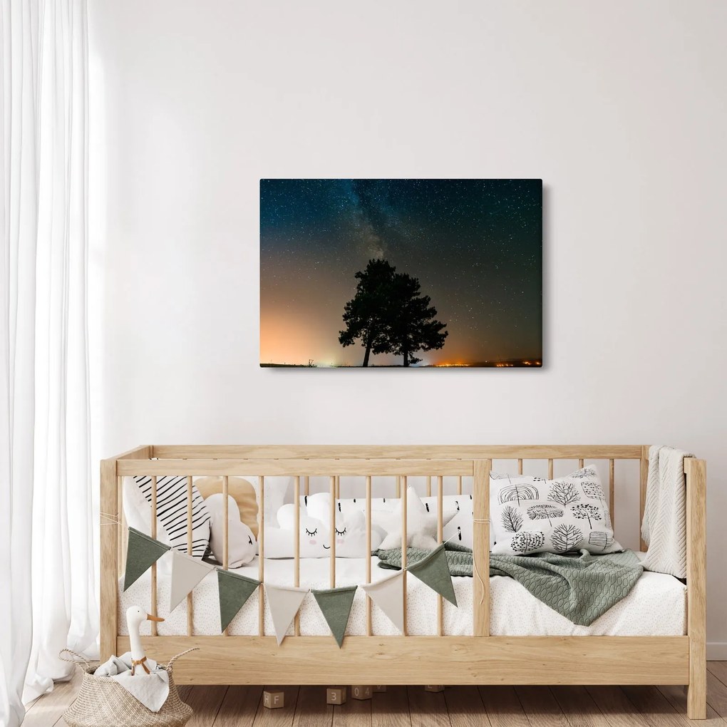 Tablou cu cerul nocturn și copaci (90x60 cm)