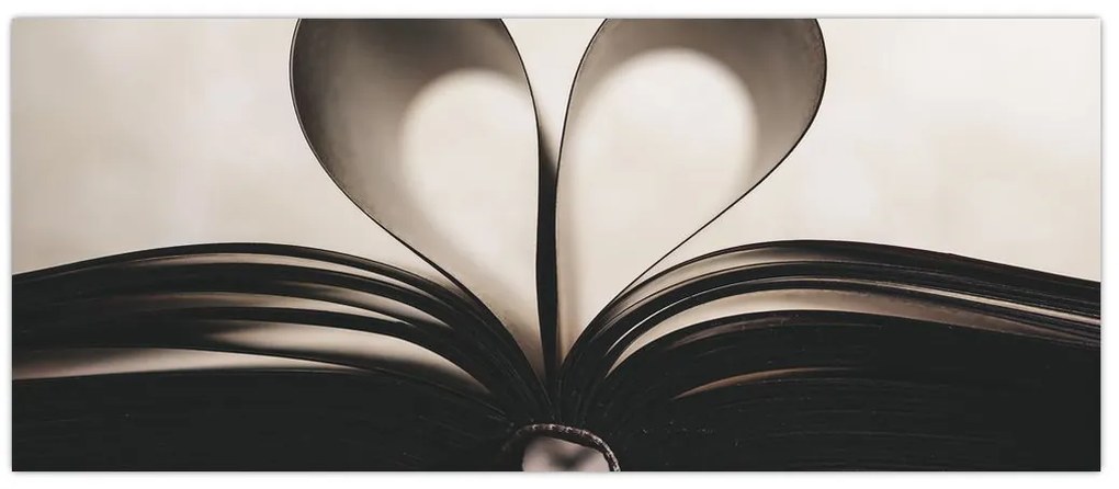 Tablou cu carte (120x50 cm)