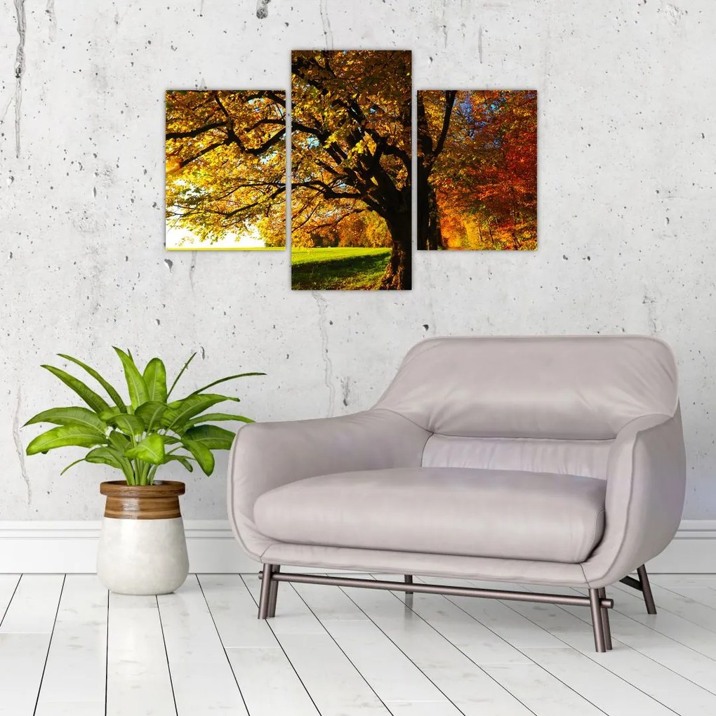 Tablou cu toamna (90x60 cm)