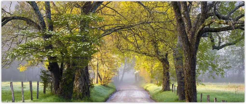 Tablou - Smoky Mountains, Gatlinburg, SUA (120x50 cm)