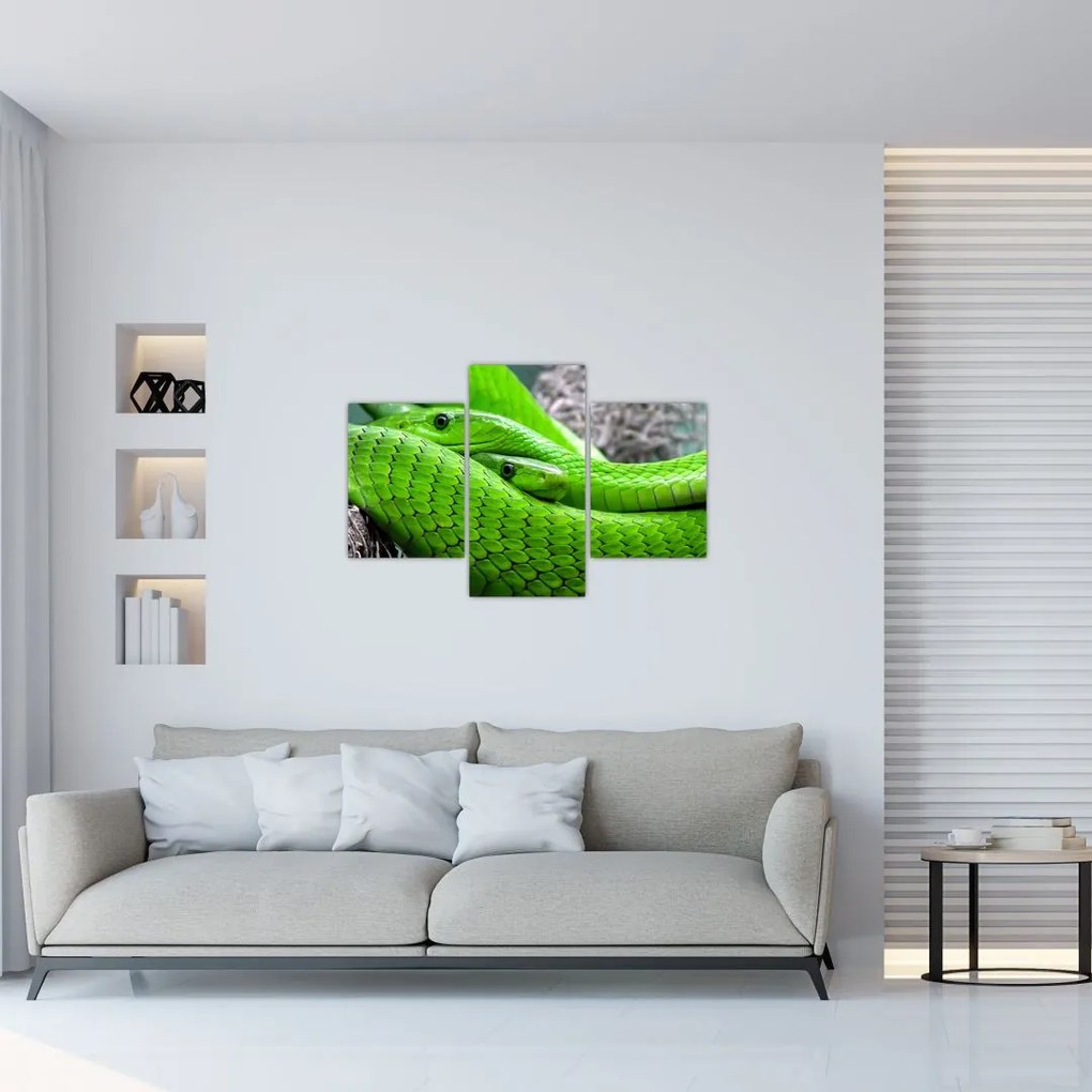 Tablou cu șerpi verzi (90x60 cm)