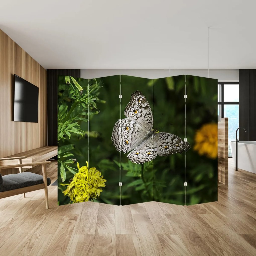 Paravan - Fluture alb (210x170 cm)
