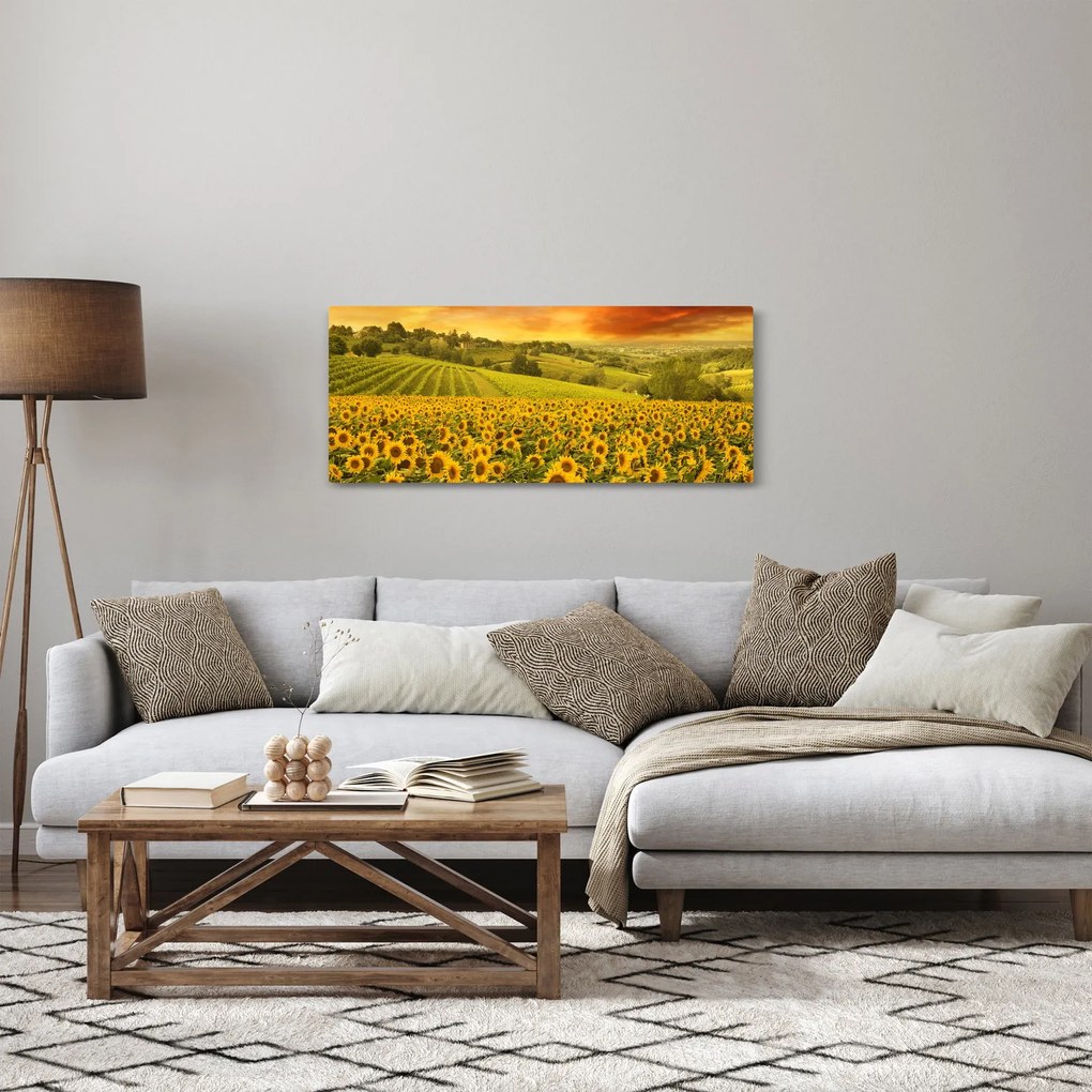 Tablou - Câmp de floarea-soarelui (120x50 cm)