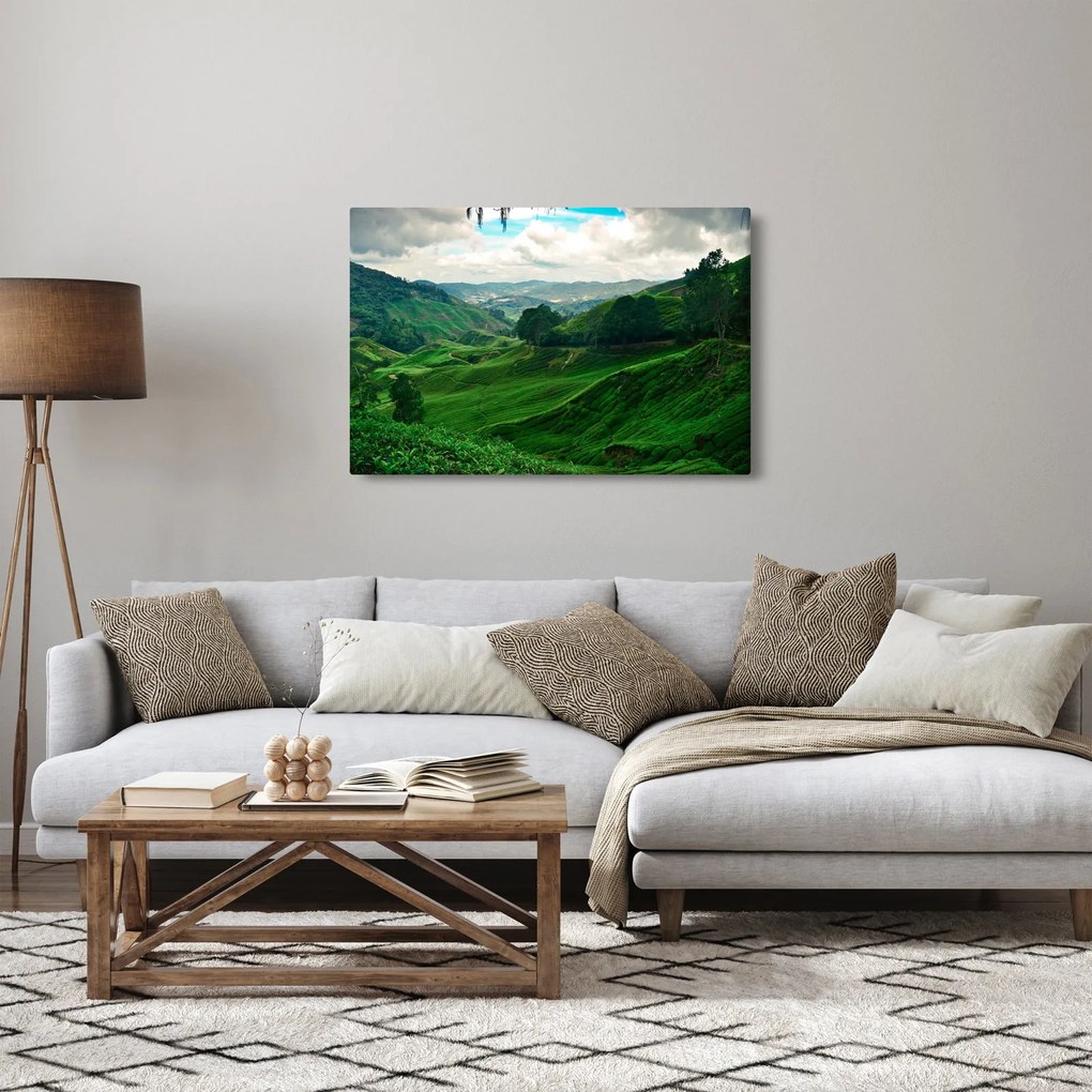 Tablou Plantații de ceai - Malaezia (90x60 cm)