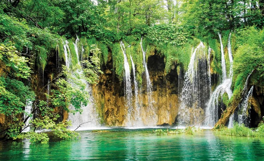 Fototapet - Natura (254x184 cm)