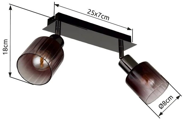 Plafoniera stil minimalist SATELLA 2L