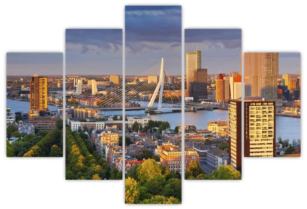 Tablou - Panorama Rotterdamului, Țările de Jos (150x105 cm)