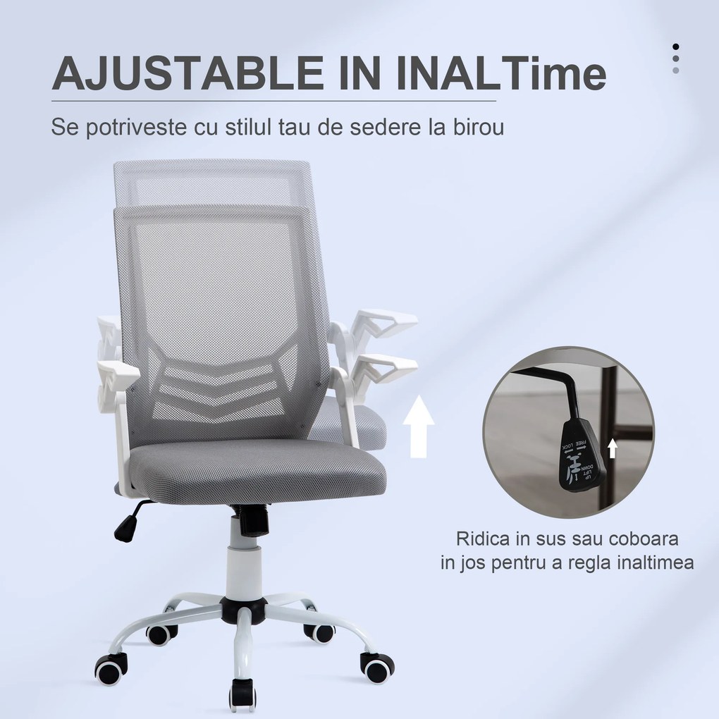 Vinsetto Scaun de Birou Ergonomic cu Suport Lombar din Țesătură, Gri | Aosom Romania