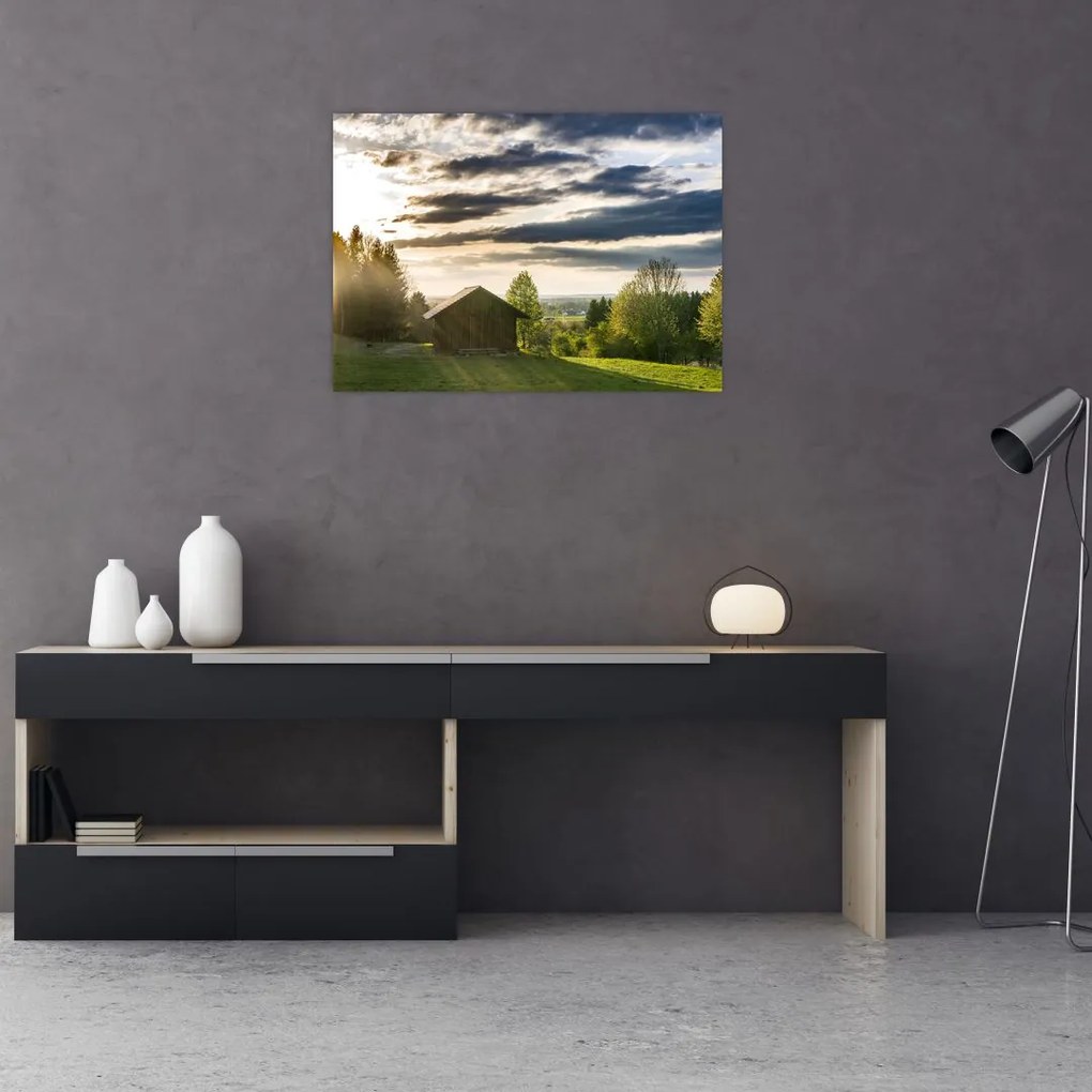 Tablou cu cabana pe luncă (70x50 cm)