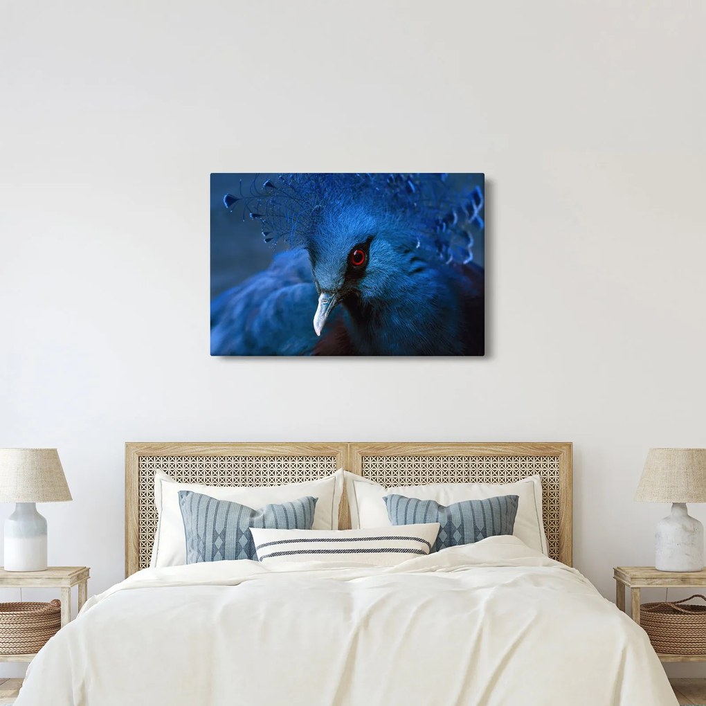 Tablou - Porumbel încoronat (90x60 cm)