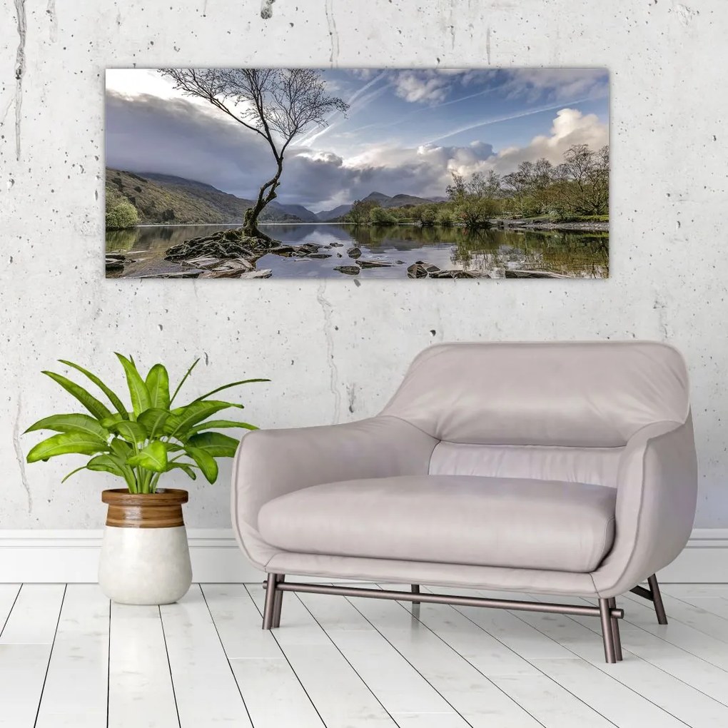 Tablou cu râu și copac (120x50 cm)