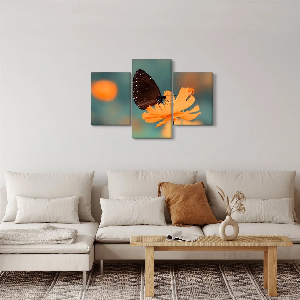 Tablou - fluture pe o floare portocalie (90x60 cm)