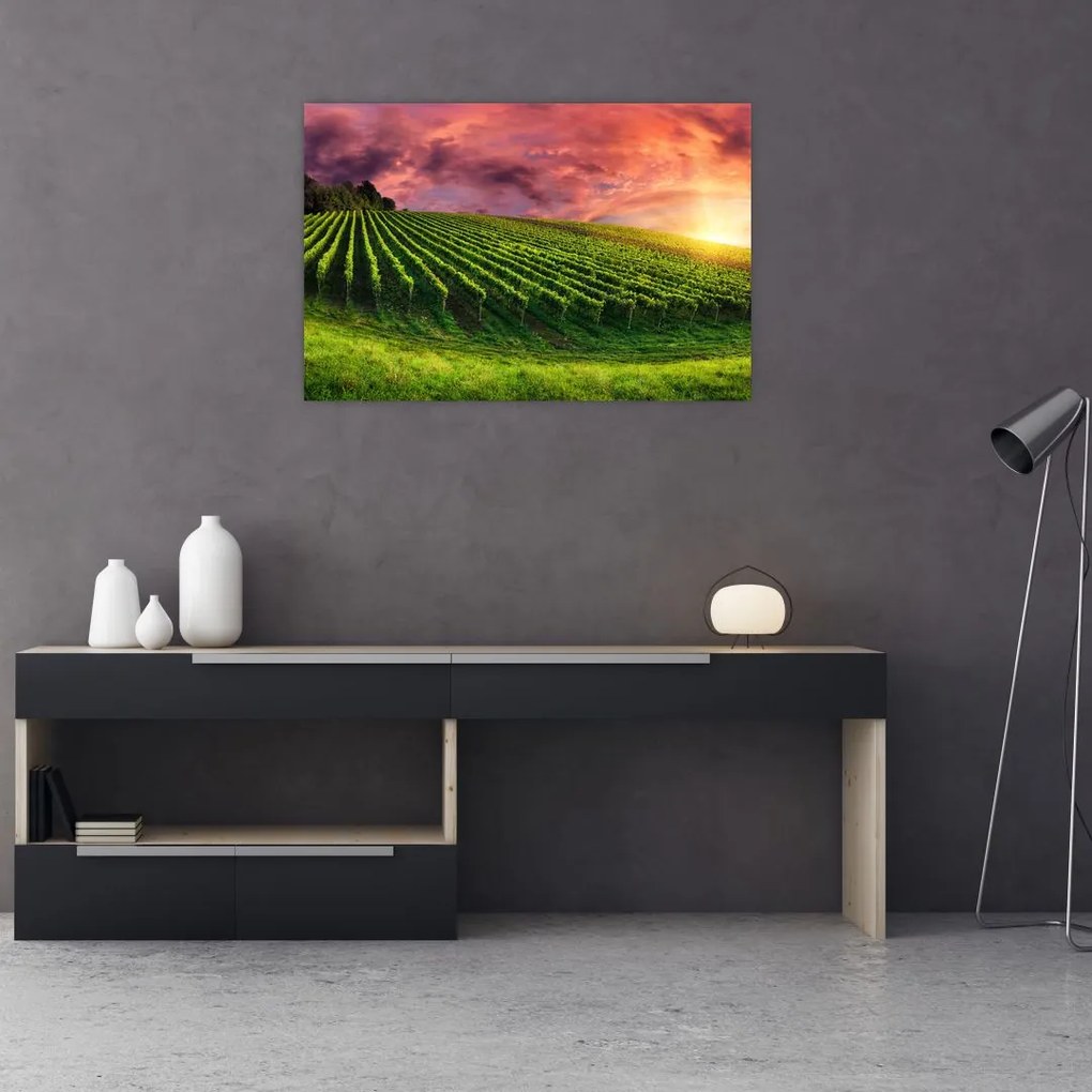 Tablou cu vie cu cerul color (90x60 cm)