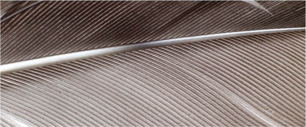 Tablou cu fibre abstacte (120x50 cm)