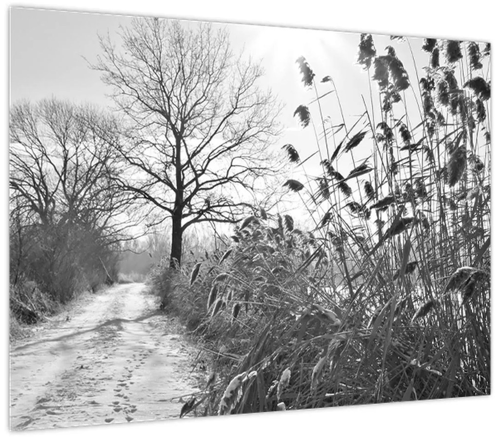 Tablou pe sticlă - Câmpuri în timpul iernii (70x50 cm)