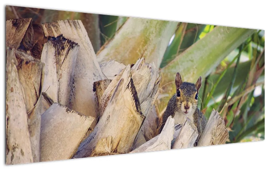 Tablou cu veverița în copaci (120x50 cm)