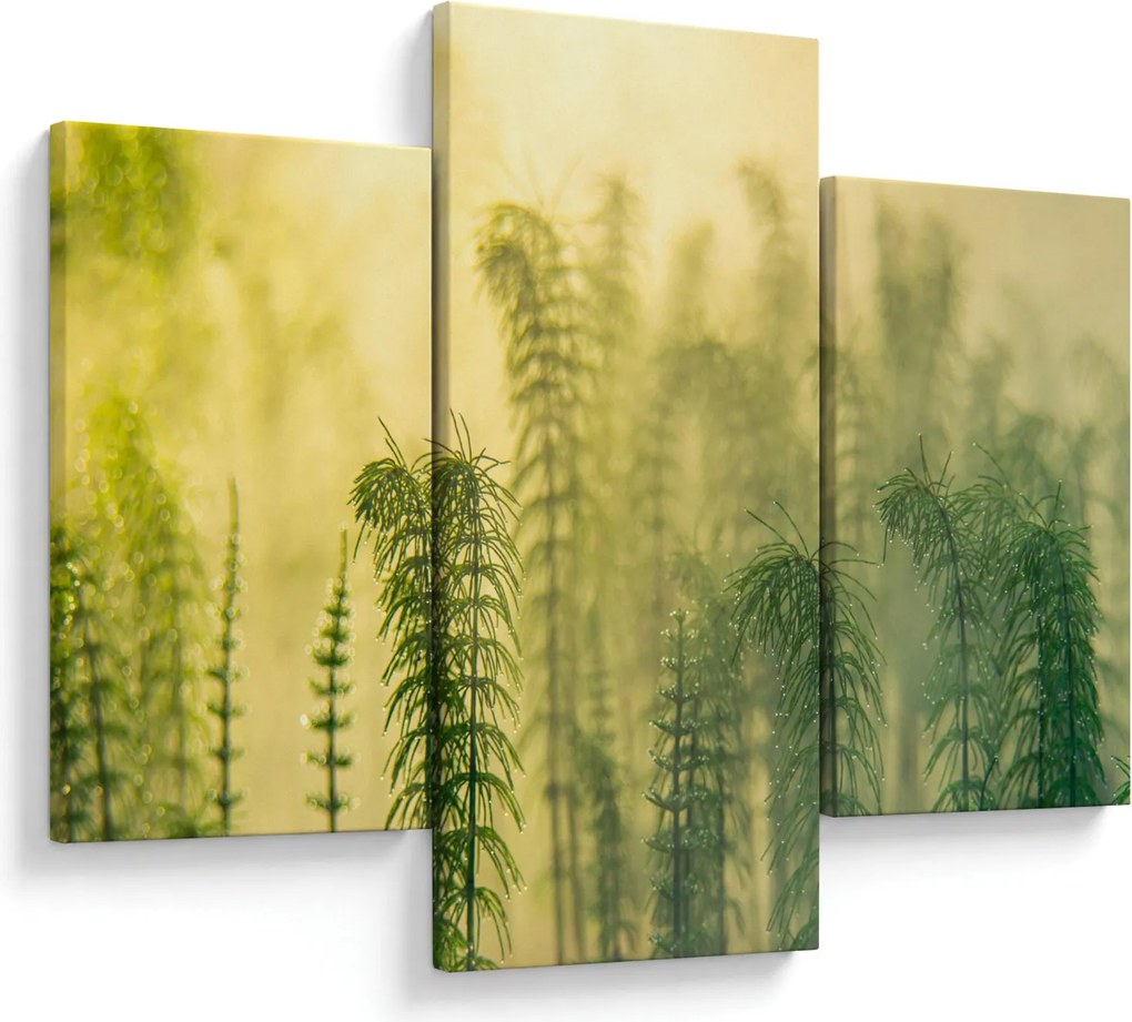 Tablou - Detaliu de primăvară natura cețoasă (90x60 cm)