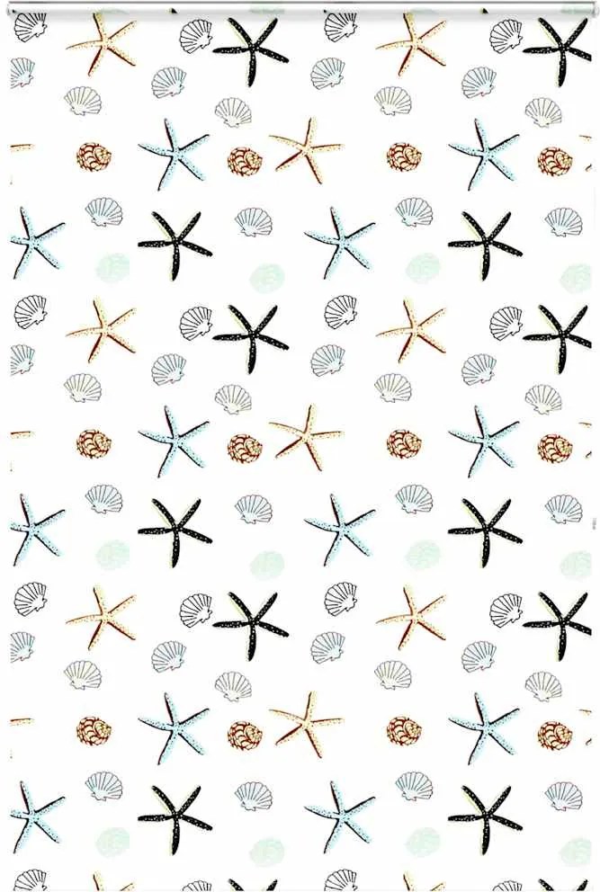 vidaXL Jaluzea cu role de duș cu casetă 160x240cm lățime material 156cm