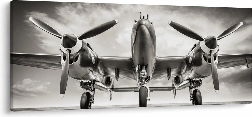 Tablou - Warbird (120x50 cm)